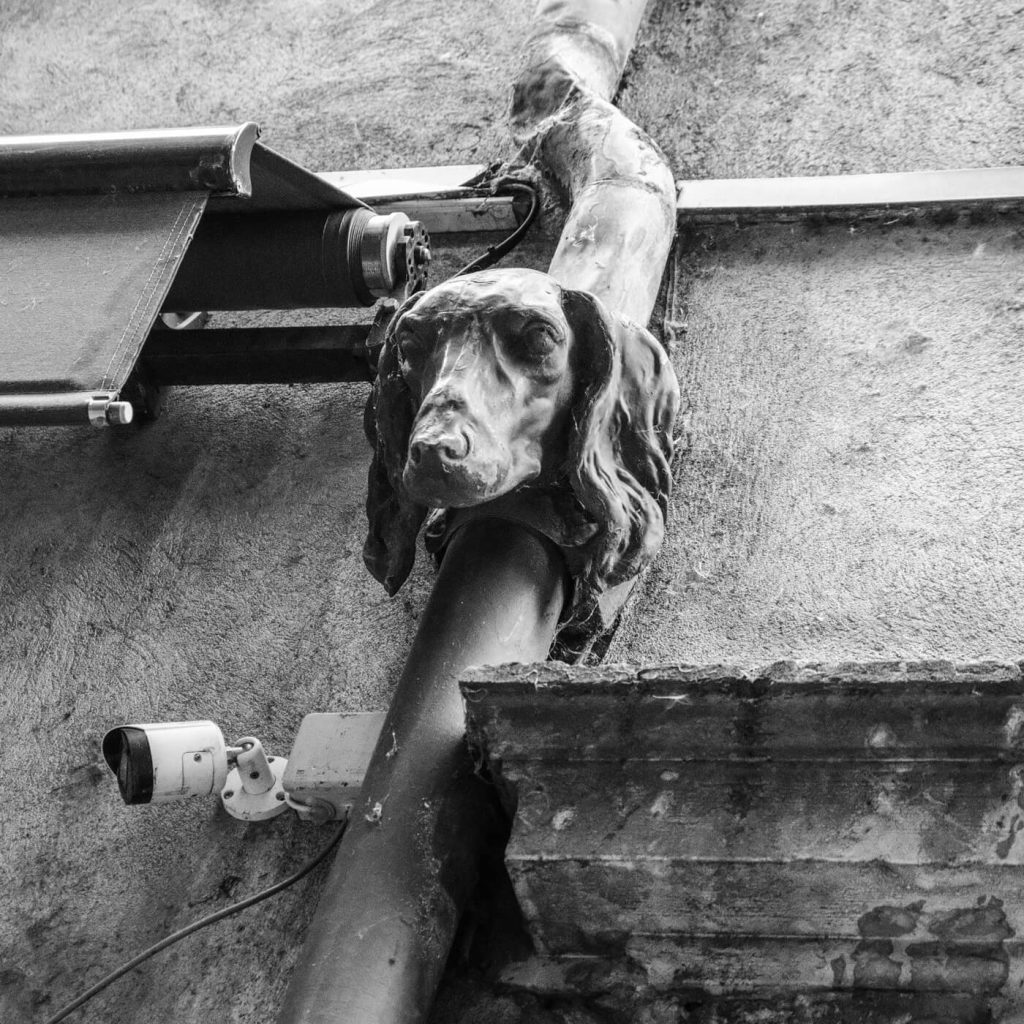 Photo en noir et blanc de la gargouille de chien dans le Quartier Mercière à Lyon.