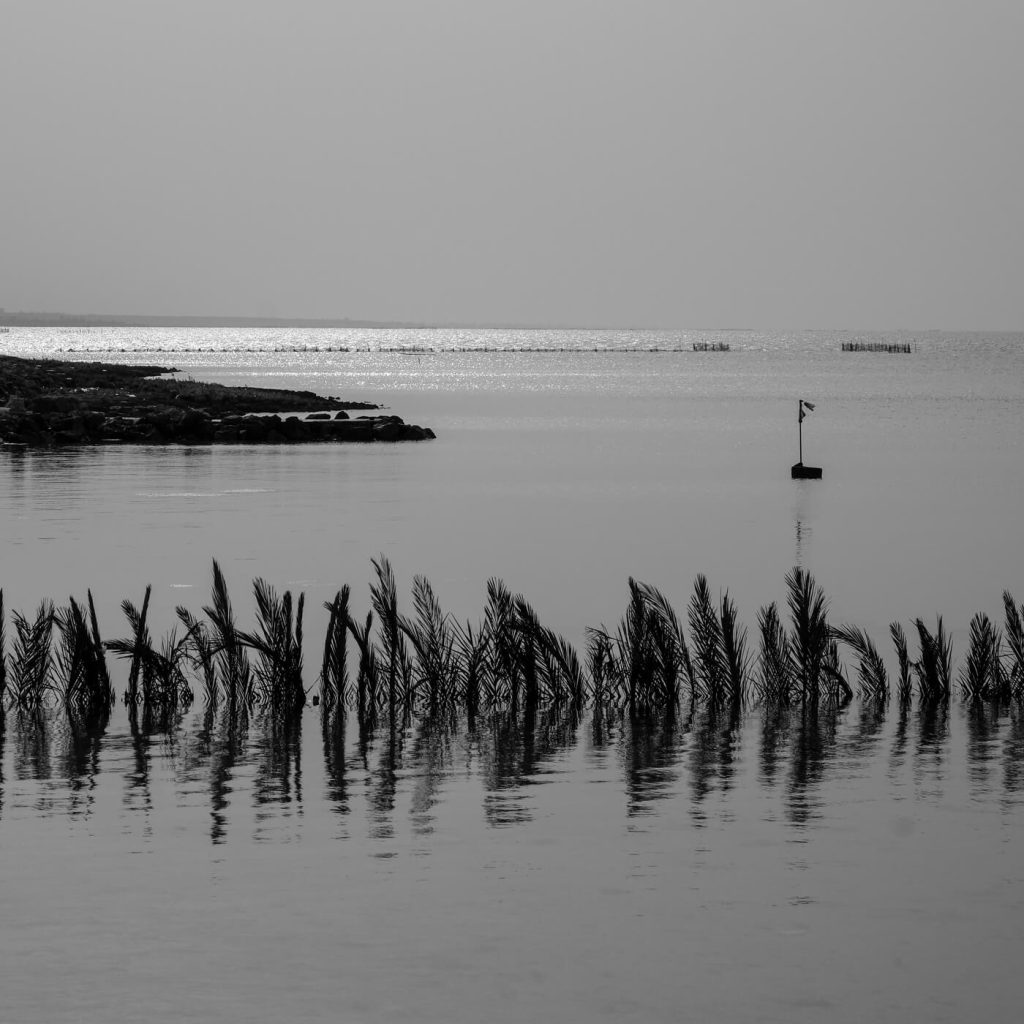 Photo en noir et blanc de la mer et des rochers à Kerkennah en Tunisie.