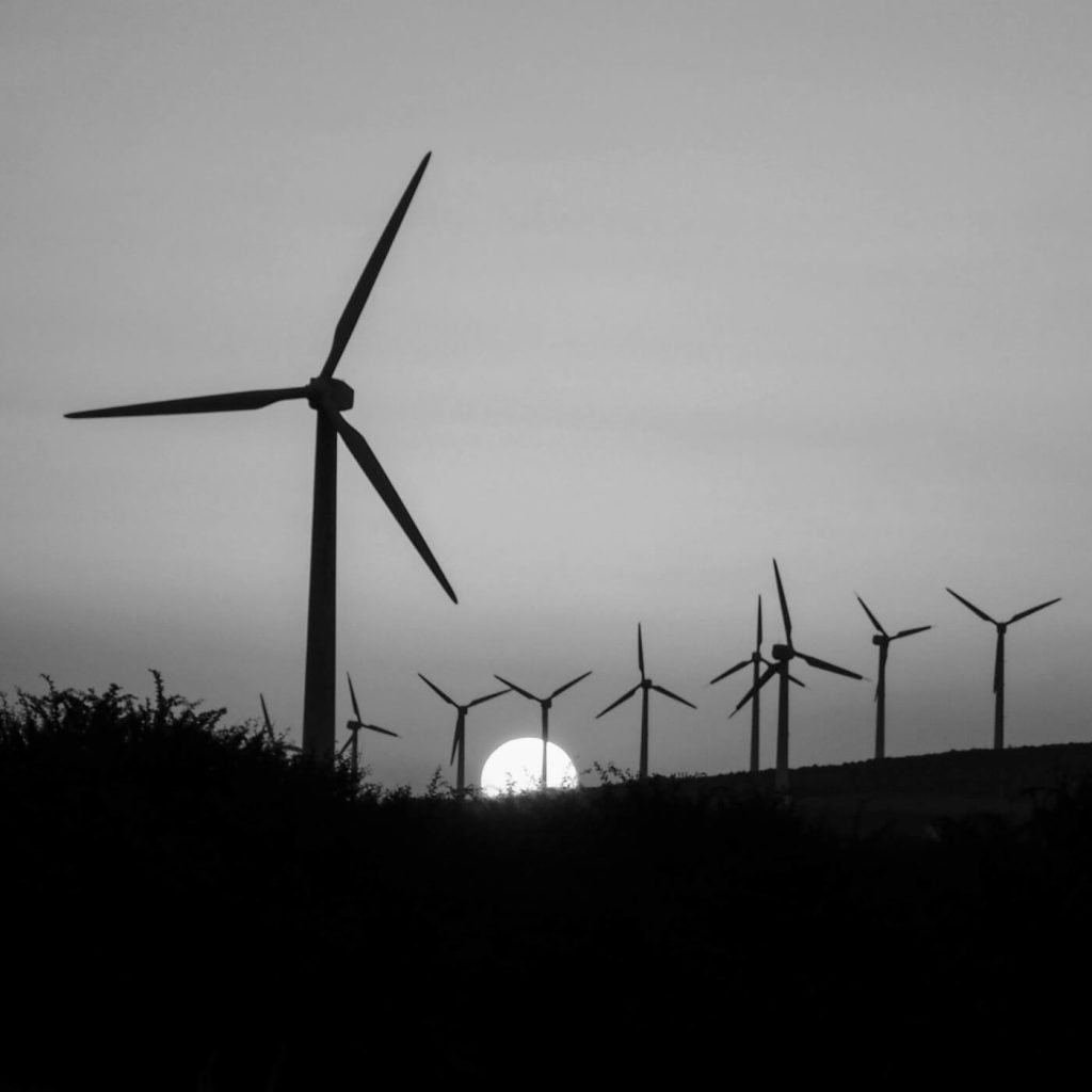 Photo en noir et blanc d'un champ d'éoliennes, avec le soleil se couchant à l'horizon en Tunisie.