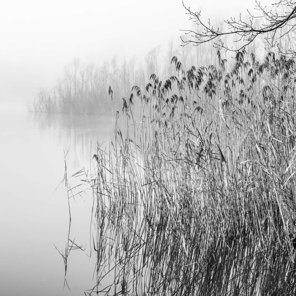 Photo en noir et blanc du lac d'Aiguebelette en Savoie.