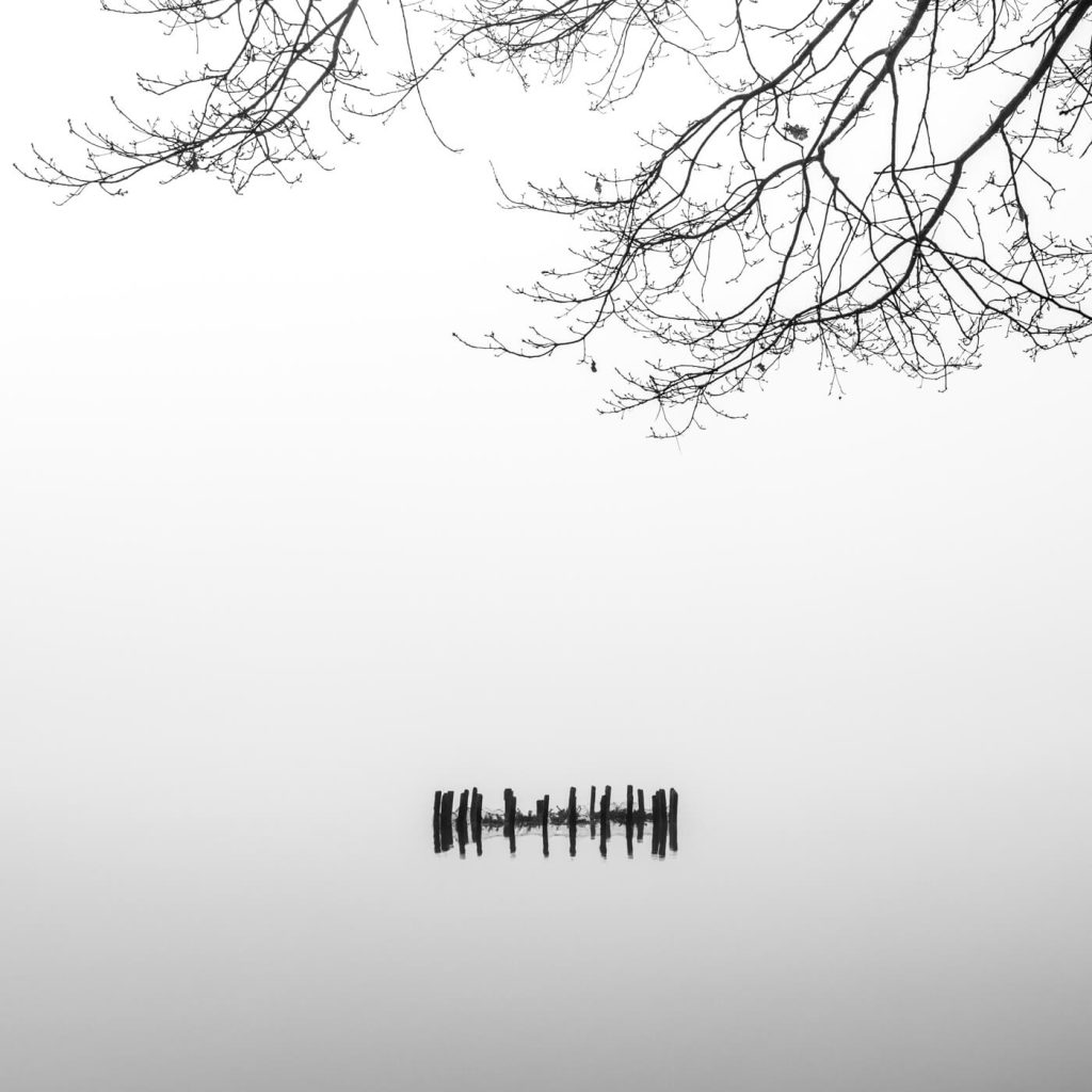 Photo en noir et blanc du lac d'Aiguebelette en Savoie, mettant en avant ses poteaux immergés, accompagnés de branches d'arbres.