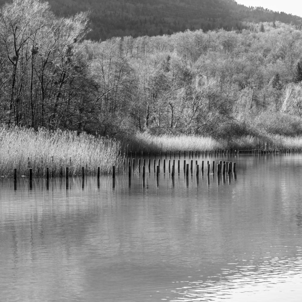 photo en noir et blanc du lac