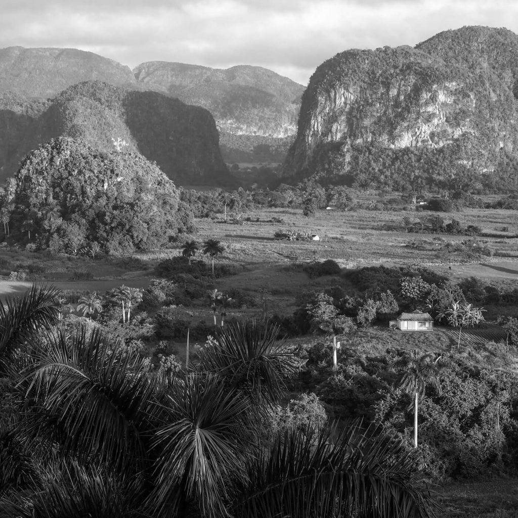 Photo en noir et blanc des mogotes et des champs de tabac dans la vallée de Viñales à Cuba.