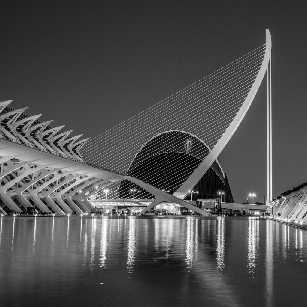 Photo en noir et blanc du palais des arts et Agora à la Cité des Arts à Valence en Espagne.