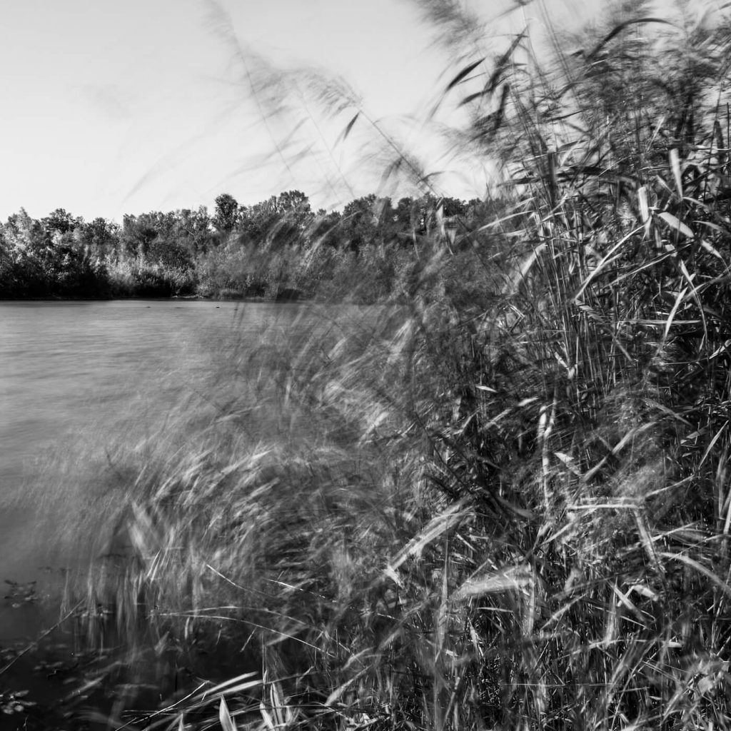 Photo en noir et blanc du parc de Miribel-Jonage à Lyon.