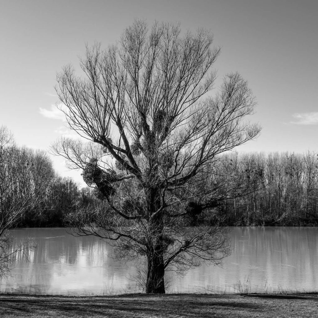 Photo en noir et blanc des rives de la Saône à Montmerle-sur-Saône, dans l'Ain.