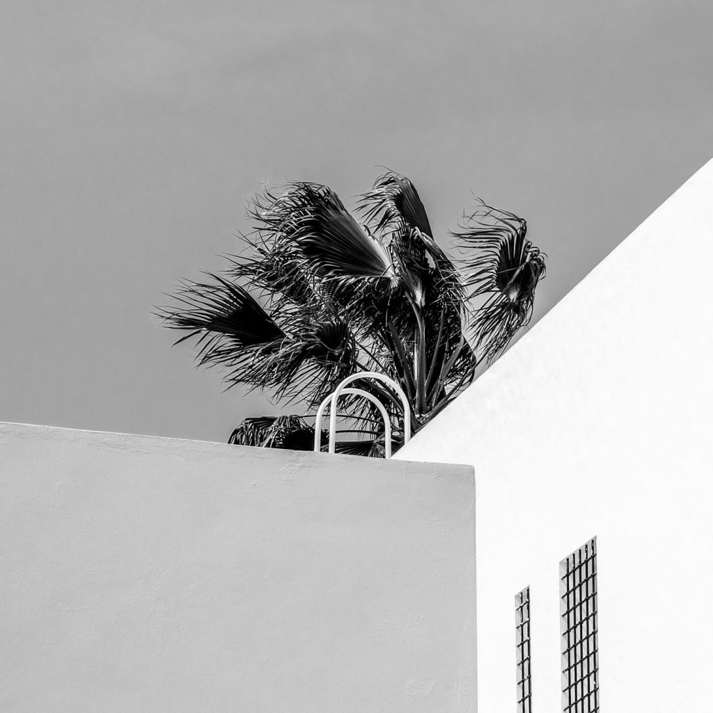 Photo en noir et blanc d'une villa avec des palmiers à Hammamet en Tunisie.