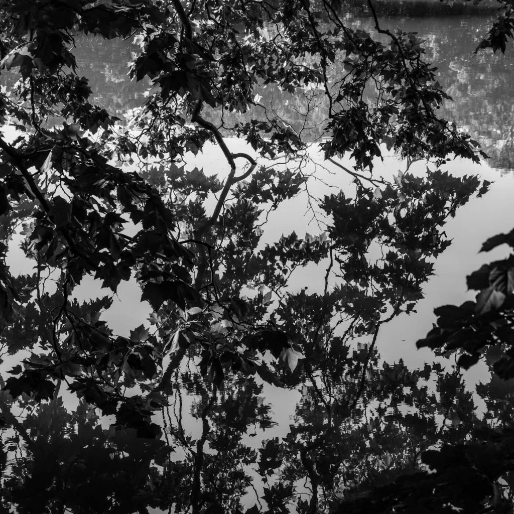 Photo en noir et blanc du Parc de la Tête d'Or à Lyon.